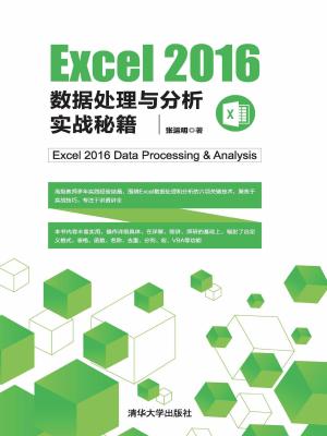 Excel 2016 數(shù)據(jù)處理與分析實(shí)戰(zhàn)秘籍 從理論到實(shí)踐的高效指南